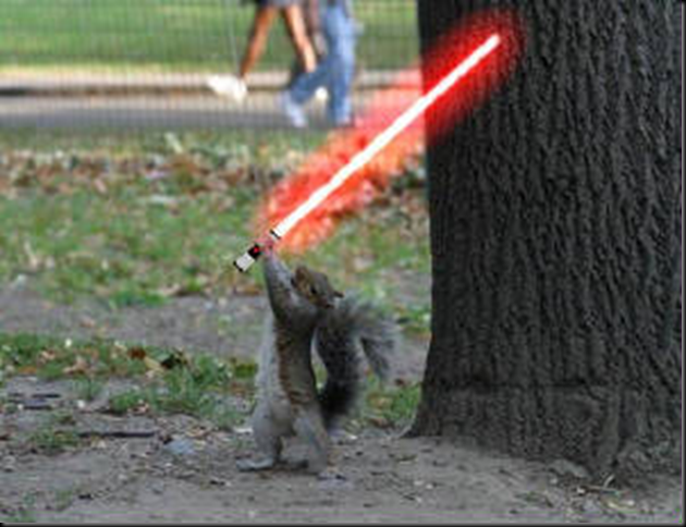 Mental Darth Sidious Squirrel thingy. This is stewpid „